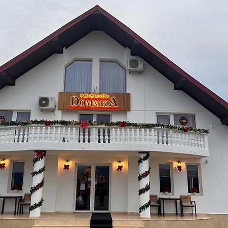 Pensiunea Domnika Dej Bagian luar foto