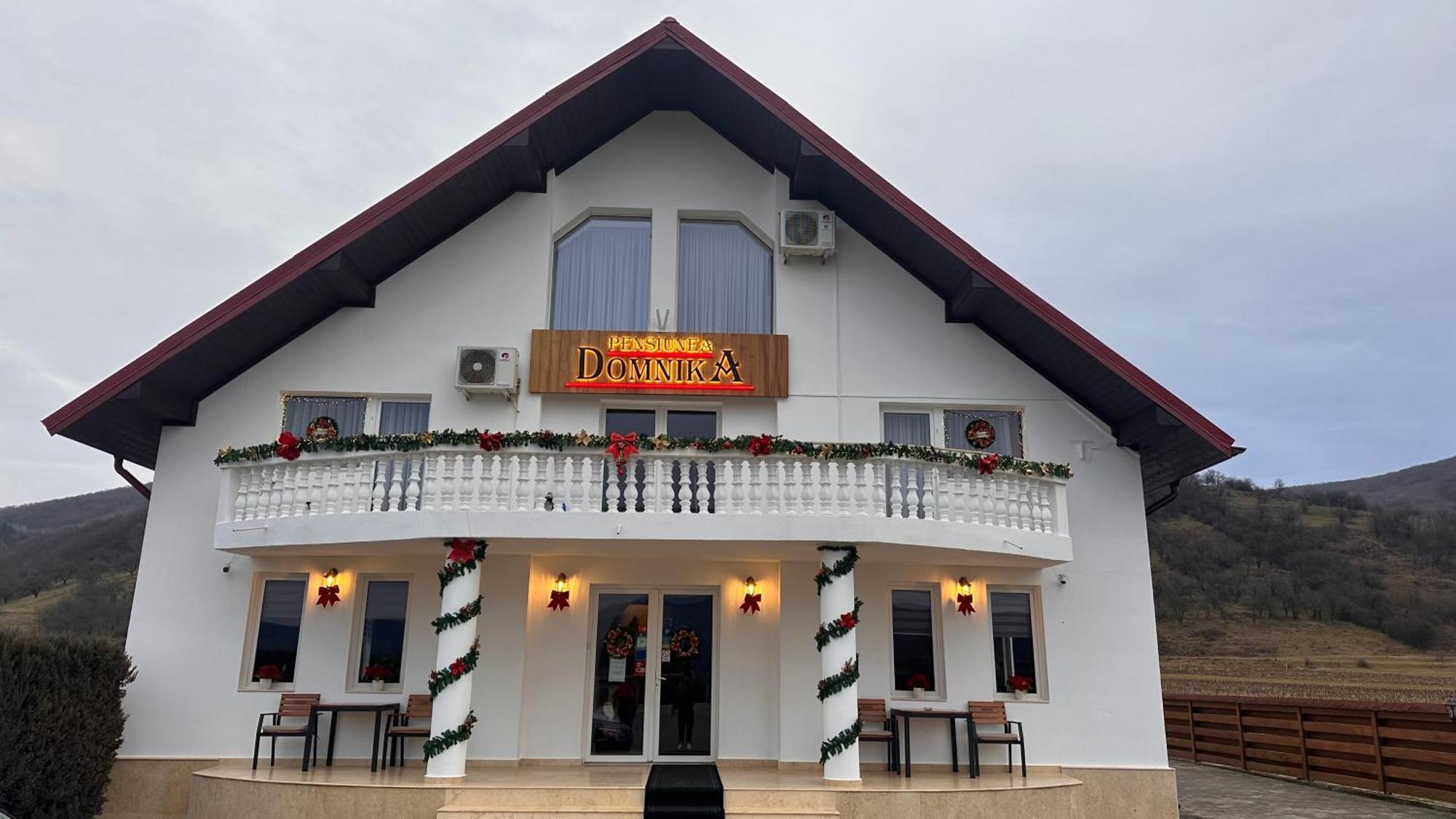 Pensiunea Domnika Dej Bagian luar foto