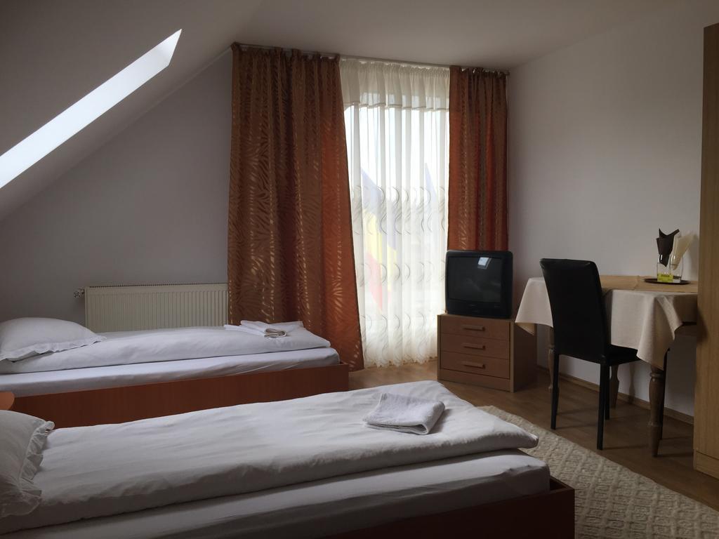 Pensiunea Domnika Dej Ruang foto